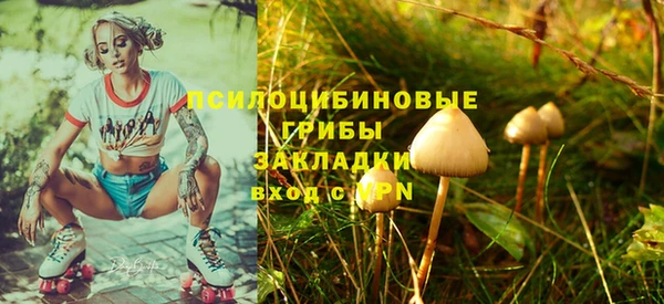 эйфоретик Пересвет
