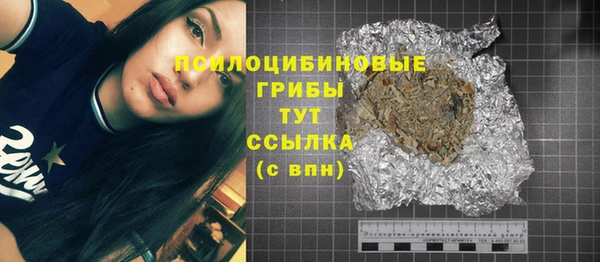 эйфоретик Пересвет