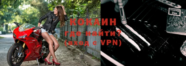 эйфоретик Пересвет